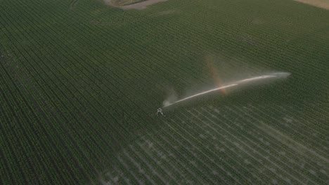 Drohnenaufnahmen-Von-Feldbewässerungssprinklern,-Die-Bei-Sonnenuntergang-Wasser-Sprühen