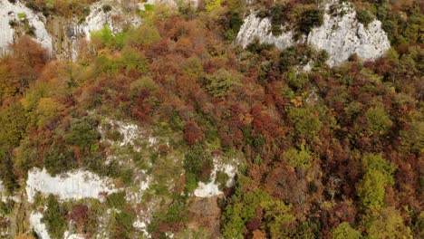 Berglandschaft-Im-Herbst-Mit-Bunten-Bäumen-Und-Großen-Felsen,-Schöne-Luftlandschaft