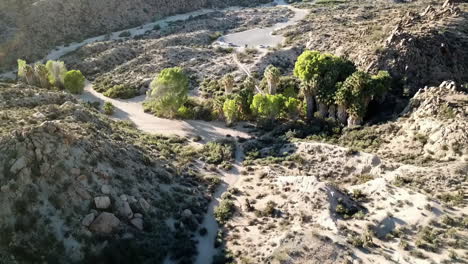 Aerial-Flyover-Of-Rugged-Scenic-Landscape-In-Joshua-Tree-National-Park,-United-States-Of-America