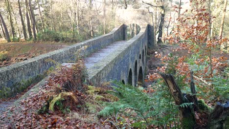 Rivington-terraced-gardens-woodland-stone-arched-bridge-in-lush-forest-greenery-dolly-right