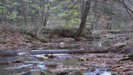 A-small-stream-flowing-through-the-forest-on-a-cool-autumn-day-in-the-mountains
