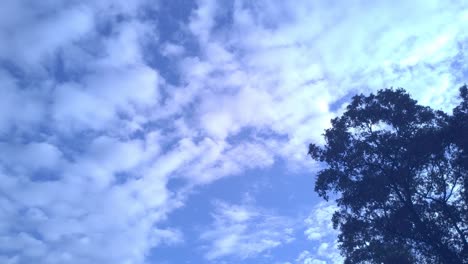 Wolken-Aus-Rosa-Und-Blau-Bewegen-Sich-Im-Zeitraffer-über-Den-Himmel-über-Dem-Baum