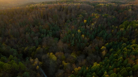 Flying-Above-Stunning-Colorful-Treetops-In-Forest-With-Country-Road-At-Witomino,-Gdynia-Poland,-Aerial-Shot
