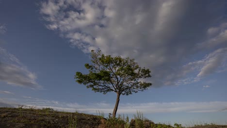 Dramatic-time-lapse-video-of-clouds-moving-over-alone-tree