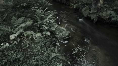 Stimmungsvolles-Zeitraffervideo-Eines-Kleinen-Flusses-Im-Wald