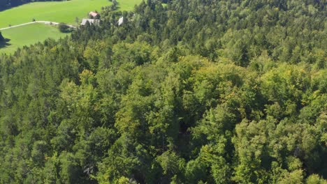 Vista-Superior-Aérea-De-Los-árboles-Verdes-De-Verano-En-El-Bosque-En-La-Zona-Rural-De-Prevalje,-Eslovenia