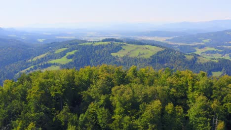 Landscape-aerial-view-vast-forest-and-mountains,-Prevalje,-Slovenia