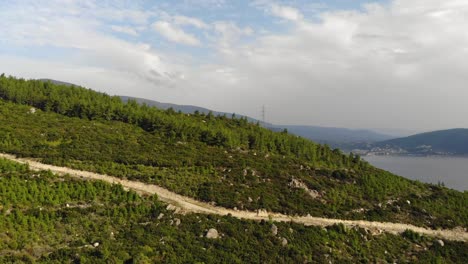 Aerial-flight-through-beautiful-pine-forest-on-the-mountain,-Balikesir,-Turkey