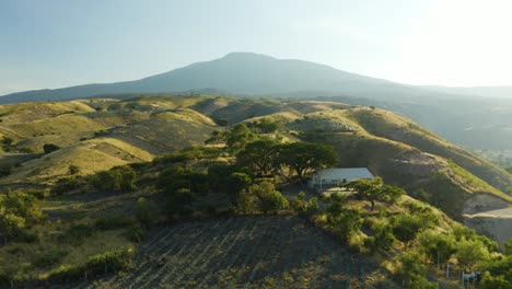 Drohne-Fliegt-über-Bauernhaus-Auf-Blauer-Agavenfarm-In-Tequila,-Mexiko