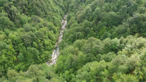 Fließender-Fluss-Zwischen-Dichtem-Wald-Waldwachstum-Luftbahn-Weit-Links