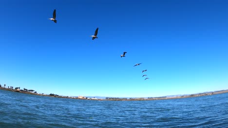 POV-of-person-bird-watching-on-a-kayak-at-Elkhorn-Sloughs-in-Moss-Landing,-California