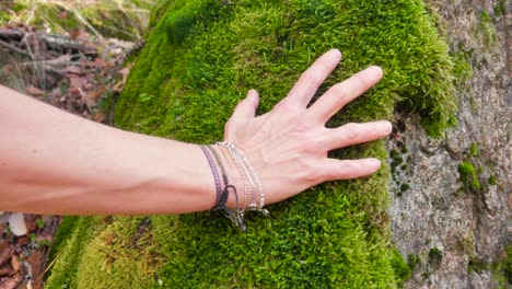 A-shot-of-a-woman´s-hand-stroking-the-moss-that-covers-a-stone