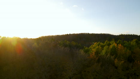 Waldlandschaft-Mit-Sonnenstrahl-In-Witomino,-Gdynia-Polen-Bei-Sonnenaufgang,-Luftaufnahme-Nach-Unten