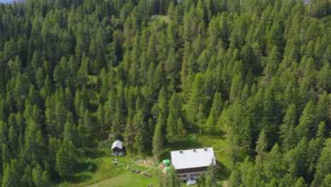 Drone-revealing-shot-of-a-cabin-surrounded-by-forest