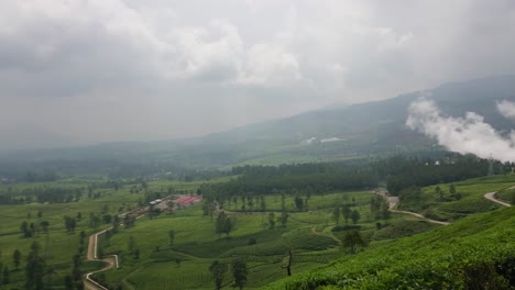 Tea-plantation-with-geothermal-industry