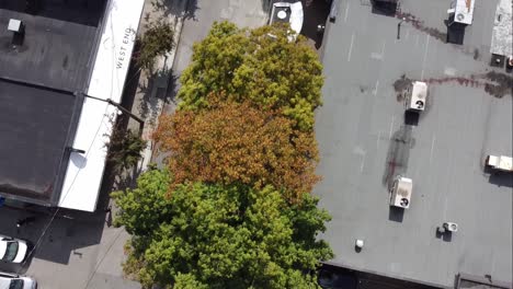 3-3BEV-Aerial-birds-eye-view-200-feet-over-low-rise-downtown-Vancouver-LGBTQ-Gay-Pride-commerical-residential-retail-community-to-retail-shops-with-hardly-any-people-out-shopping-on-a-sunny-fall-day
