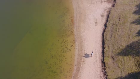 Person-riding-a-horse-on-a-sandy-beach-drone-shot