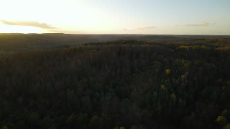 Flying-back-over-forest-tree-tops-in-Autumn-on-sunset,-Poland,-evening-aerial