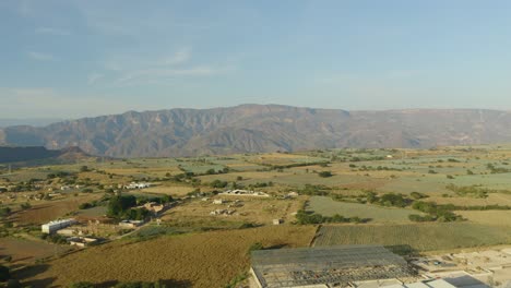 Vista-Aérea-De-Los-Campos-De-Cultivo-De-Agave-Azul,-Fondo-Pintoresco-Paisaje-De-Montaña
