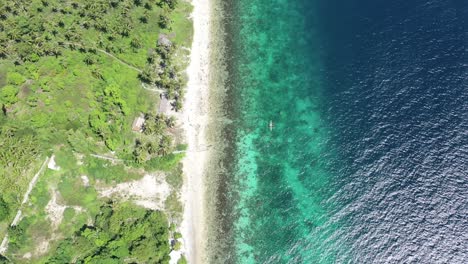 Aerial-top-down-along-tropical-sandy-beach-surrounded-by-green-forest-and-crystal-clear-ocean-in-Philippines