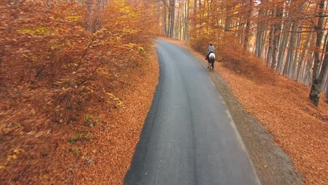 Person-riding-a-horse-in-the-woods-in-autumn-drone-shot