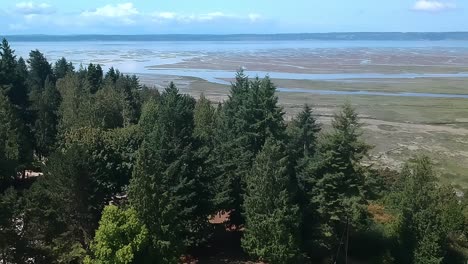Aerial-roll-drop-over-cottage-country-Warm-beach-in-the-town-of-Stanwood-Washington-State-foreground-tall-pine-tree-background-six-and-half-miles-of-sand-and-ocean-front-camps-hotels-homes-farms-2-2