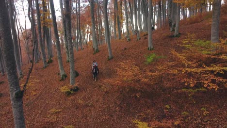 Riding-horse-through-forest-in-autumn