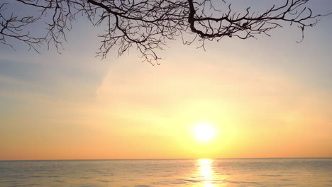 Tree-silhouette-at-sunset-over-calm-sea.-Slow-motion