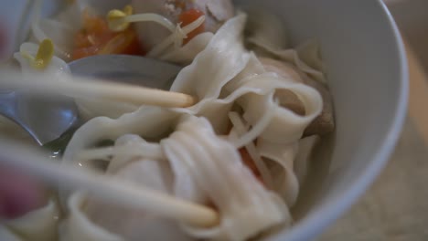 Asian-noodle-pork-ball-noodle-soup