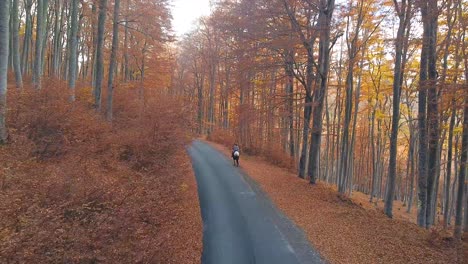Person,-Die-Im-Herbst-In-Einem-Wald-Mit-Orangefarbenen-Blättern-Und-Hohen-Bäumen-Reitet