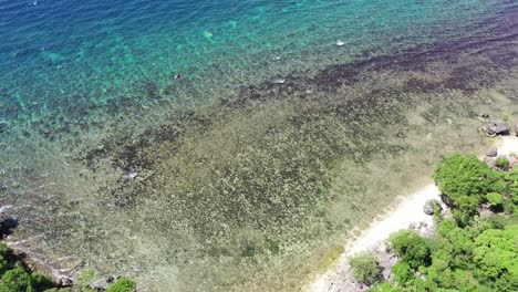 Luftaufnahme-Aus-Der-Vogelperspektive-über-Einen-Tropischen-Strand-Mit-Einem-Wunderschönen-Korallenriff-Im-Türkisfarbenen-Wasser-Auf-Den-Philippinen,-Aufnahme-Von-Oben-Nach-Unten,-Reisekonzept