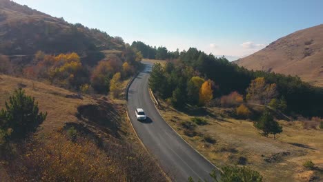 Automobile-driving-on-road-through-a-forest-drone-shot