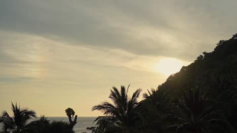 Sonnenuntergang-Hinter-Tropischem-Inselberg-Mit-Silhouettierten-Palmen