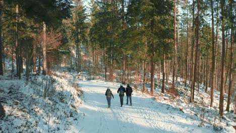 4K-UHD-aerial-drone-flying-low-along-a-snow-path-following-a-group-of-three-tourists-on-a-tour-hiking-in-a-snowy-forest-with-trees-in-the-Bavarian-Alps-in-winter-in-Germany,-close-to-Austria