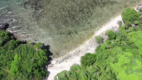 Aerial-top-down-of-stony-beach-surrounded-by-thick-forest-trees-and-clam-pacific-ocean-during-sun
