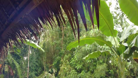 Raindrops-falling-off-the-dried-palm-roof-of-a-tropical-house-in-the-middle-of-a-forest
