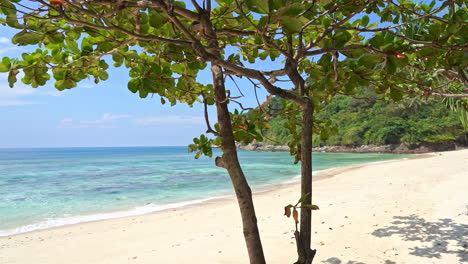 The-view-through-the-trunks-of-some-small-trees-is-of-a-deserted-beautiful-white-sand-beach