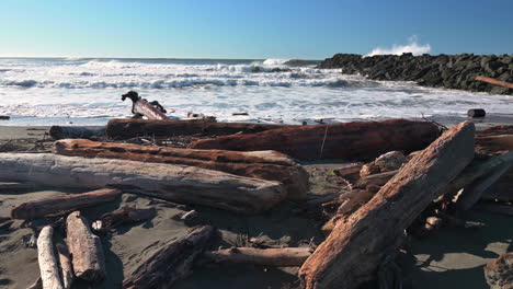 Driftwoods-Against-Rolling-Waves-During-Sunny-Day-In-Gold-Beach,-Oregon