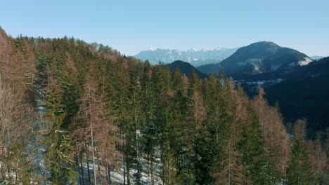 4k-uhd-luftdrohnenflug,-Der-Sich-Im-Winter-In-Deutschland,-In-Der-Nähe-Von-österreich,-Eng-über-Schneebedeckten-Grünen-Waldbaumwipfeln-In-Den-Bayerischen-Alpen-Bewegt