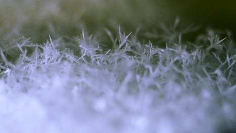 Growing-snow-ice-crystals-from-oversaturated-water-vapor-on-dry-ice-base