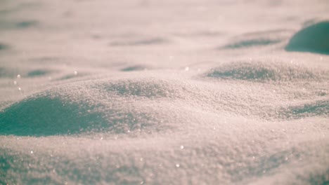 Snow-texture-close-up
