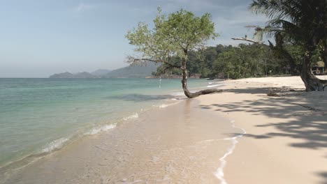 tropical-white-sand-beach-exotic-tree,-turquoise-water-slow-dolly-shot