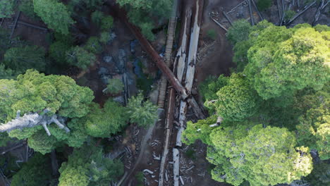 Luftaufnahme-Von-Oben-Nach-Unten-über-Die-Spur-Von-100-Riesen-Im-Sequoia-National-Forest