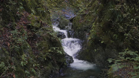 Fresh-Water-Stream-Flowing-Through-The-Rocks-In-Okutama,-Japan