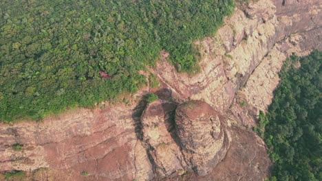 Matheran-forest-drone-shot-tilt-up-Maharashtra-India-hill-station