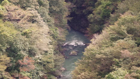 Flussstrom,-Der-Auf-Felsen-Zwischen-Dichtem-Herbstlichem-Laub-In-Der-Wildnis-Nahe-Stadt-Von-Okutama,-Japan-Fließt