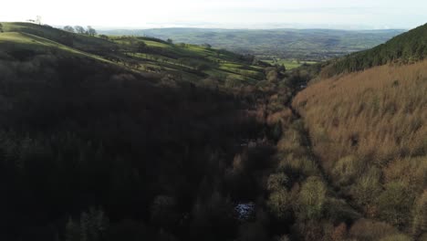 Coed-Llangwyfan-Welsh-woodland-valley-national-park-aerial-view-lowering-to-forest-sunrise-countryside