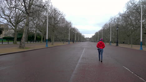 Stabilized-shot-following-a-single-person-walking-on-the-famous-The-Mall-in-London-with-no-one-else-around
