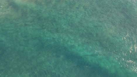 Luftaufnahme-Von-Ozeanwellen,-Die-Auf-Küstenklippen-Rollen-Und-Spritzen---Zylinderstrand-In-Point-Lookout,-Queensland,-Australien