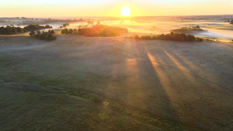 Aerial-shot-of-a-foggy-meadow-with-golden-sunbeams-shining-through-trees-and-long-cast-shadows-at-dawn